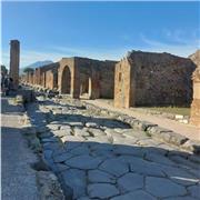 Laureato magistrale in biologia impartisce lezioni fisicamente su Salerno ed online su tutta Italia